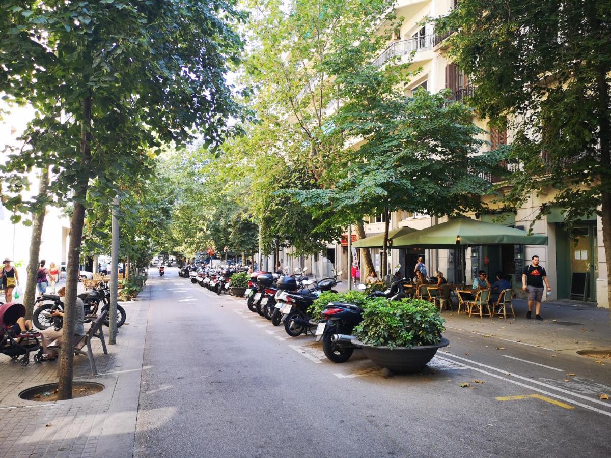 Aparteasy - Eixample Center Barselona Dış mekan fotoğraf
